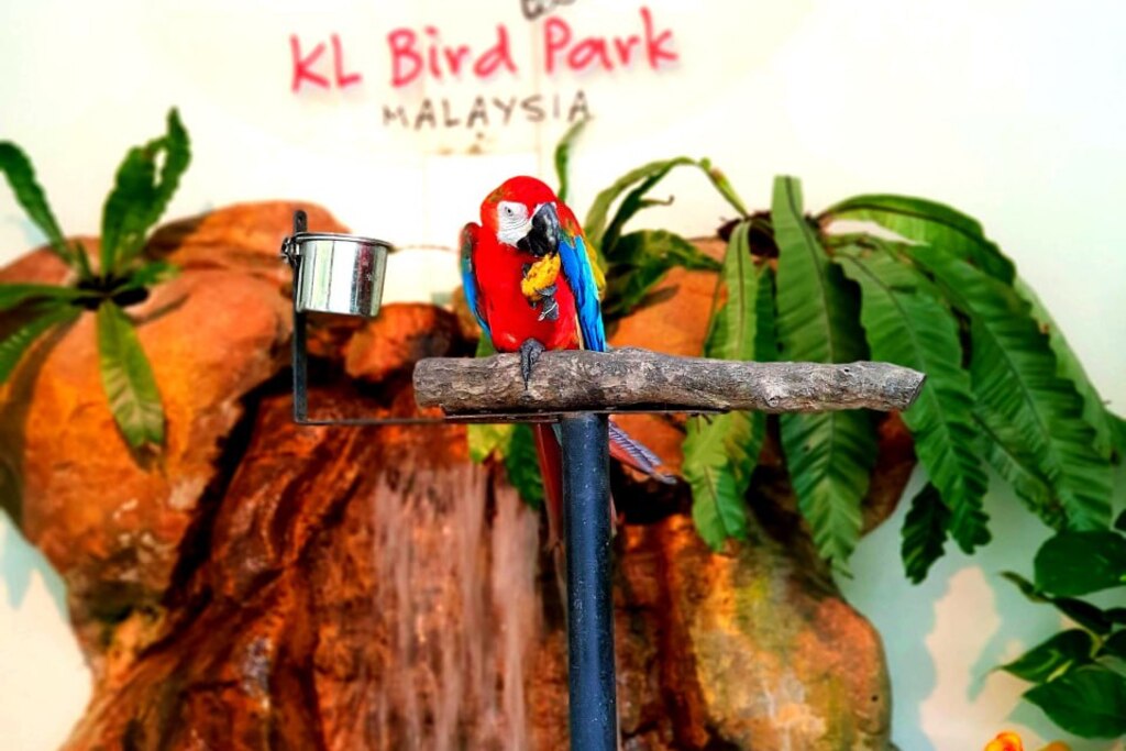 KL Bird Park