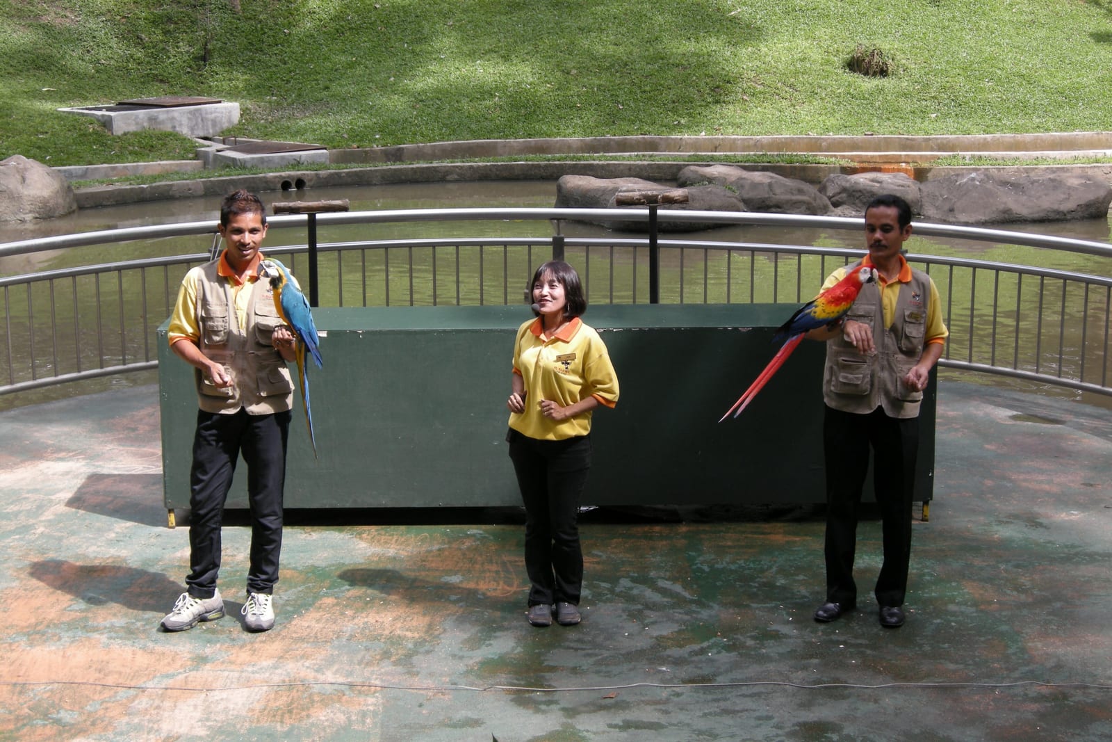 Bird show at KL Bird Park