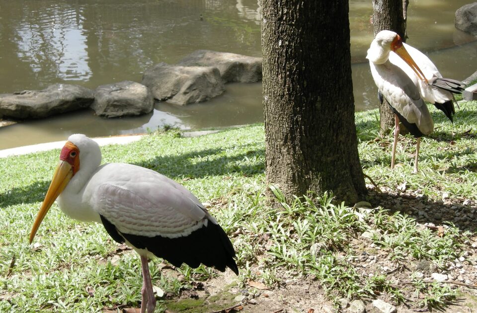 KL Bird Park